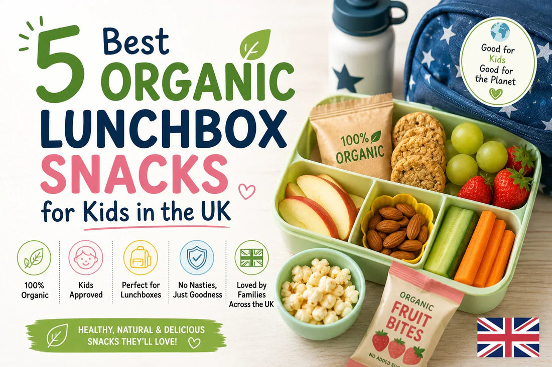 5 Best Organic Lunchbox Snacks for Kids in the UK 
