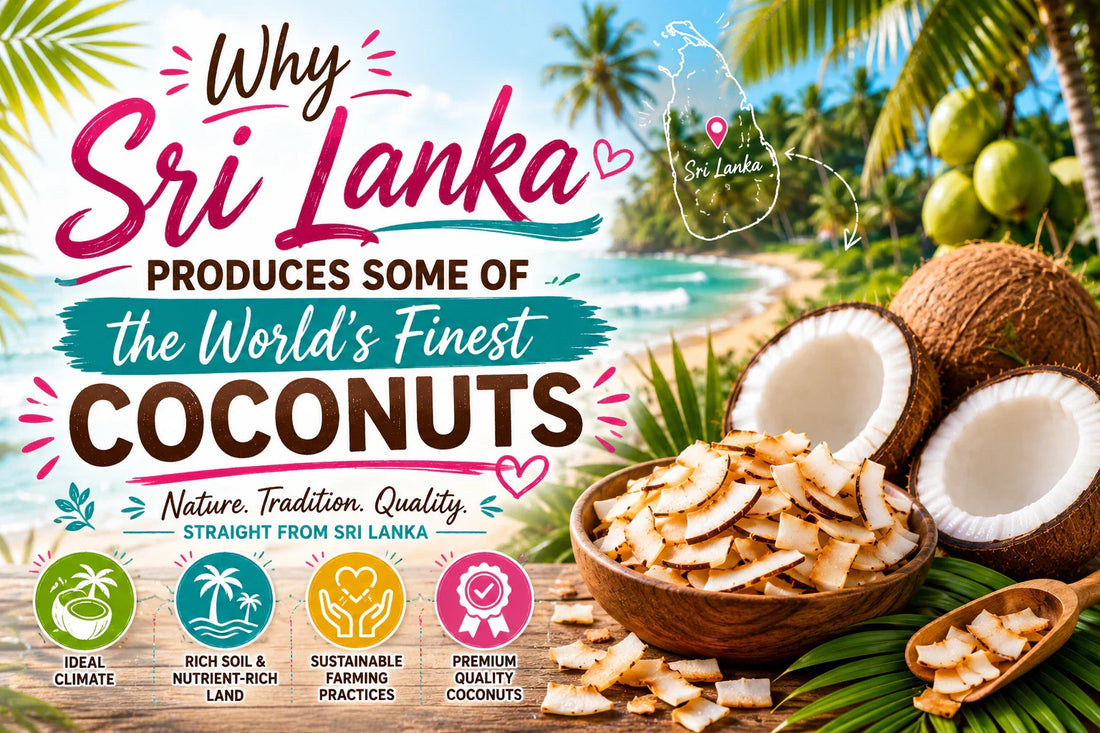Why Sri Lanka Produces Some of the World's Finest Coconuts