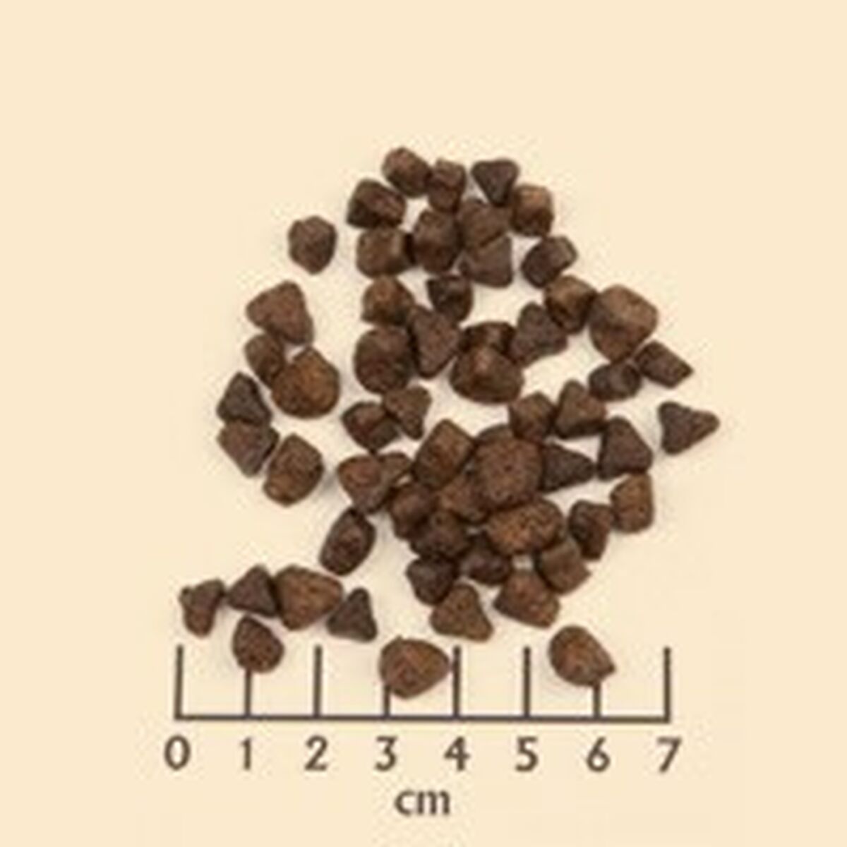 Fodder Wolfsblut Adult Meat Sweet potato 2 Kg-4