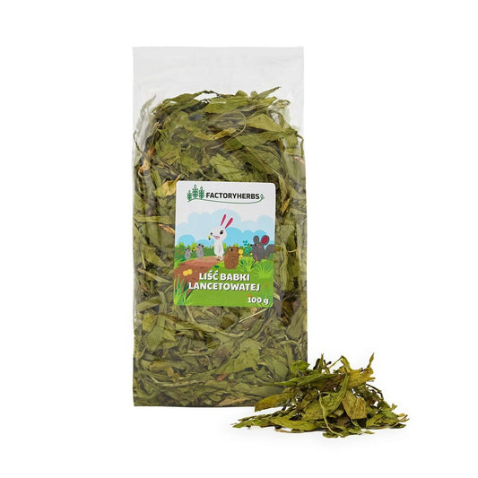 Fodder Factoryherbs-0