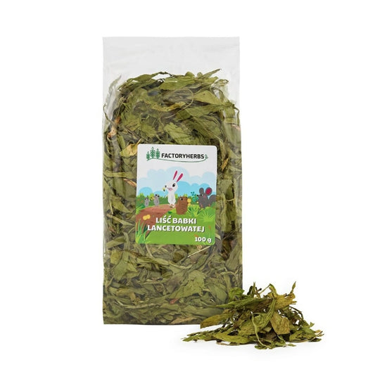 Aaponminimarket Factoryherbs