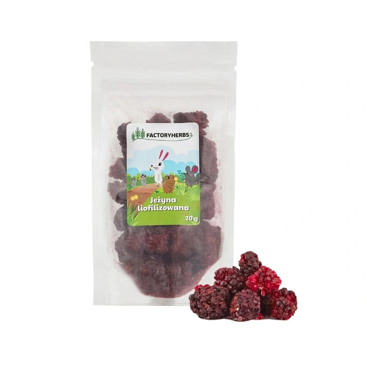 Aaponminimarket Freeze-Dried Blackberry Treats | Rabbit Food Factory