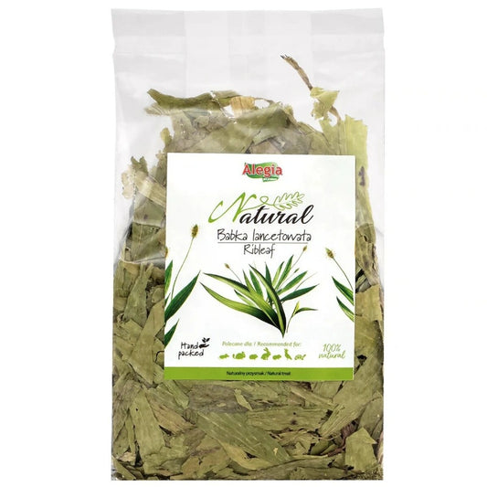 Aaponminimarket Snacks Alegia Ribleaf